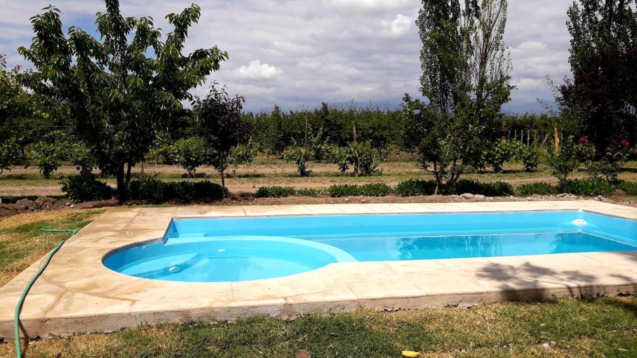 Casa Rural Entre Bodegas Y Vinedos ' El Jarillal" La Consulta Kültér fotó