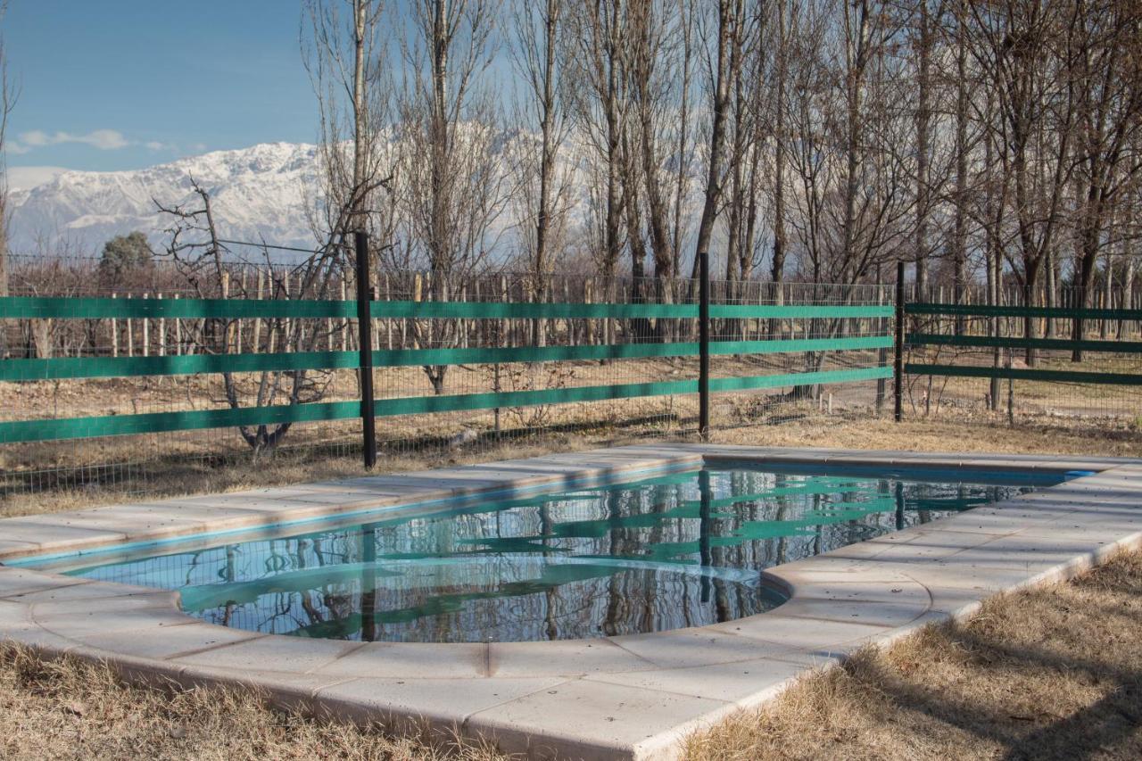 Casa Rural Entre Bodegas Y Vinedos ' El Jarillal" Vendégház La Consulta Kültér fotó