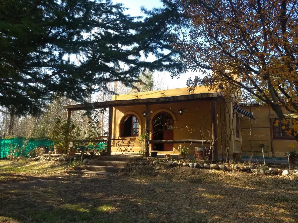 Casa Rural Entre Bodegas Y Vinedos ' El Jarillal" La Consulta Kültér fotó