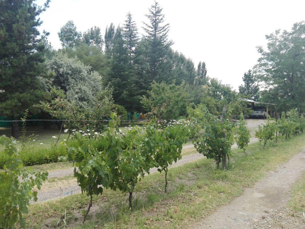 Casa Rural Entre Bodegas Y Vinedos ' El Jarillal" Vendégház La Consulta Kültér fotó